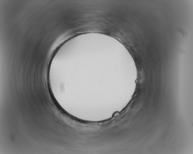 X0000113160004200910021511