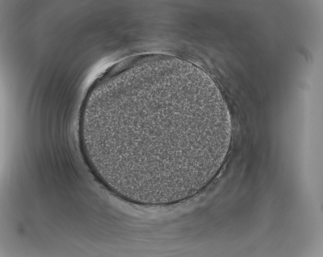 X0000113160006200910021511