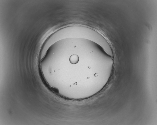 X0000113160007200910021511