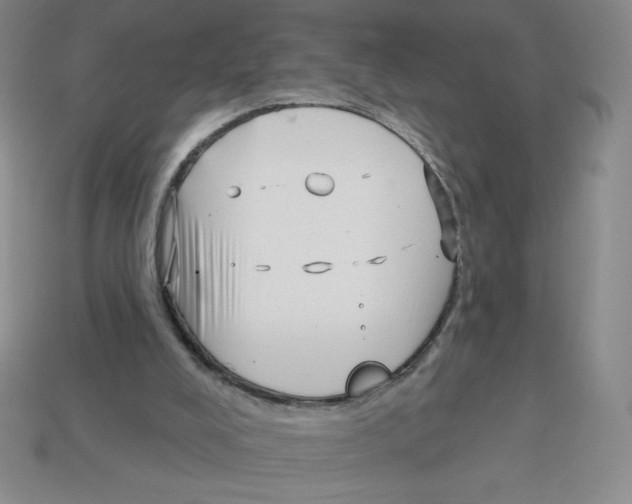 X0000113160008200910021511