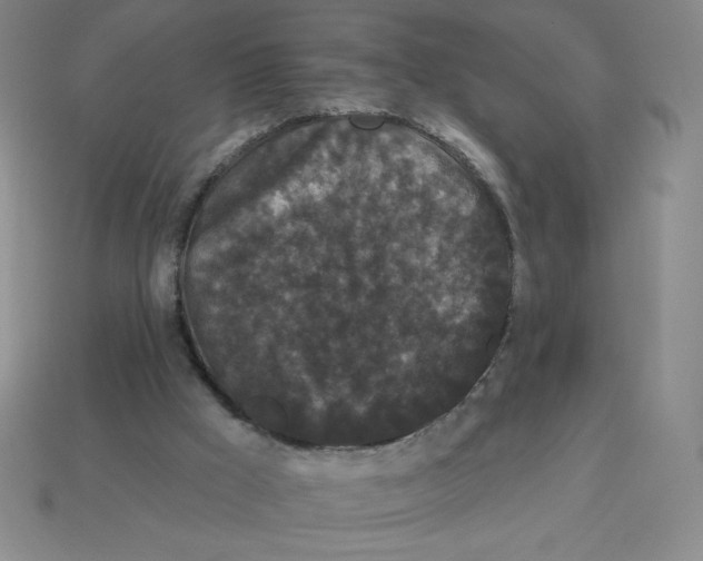 X0000113160009200910021510