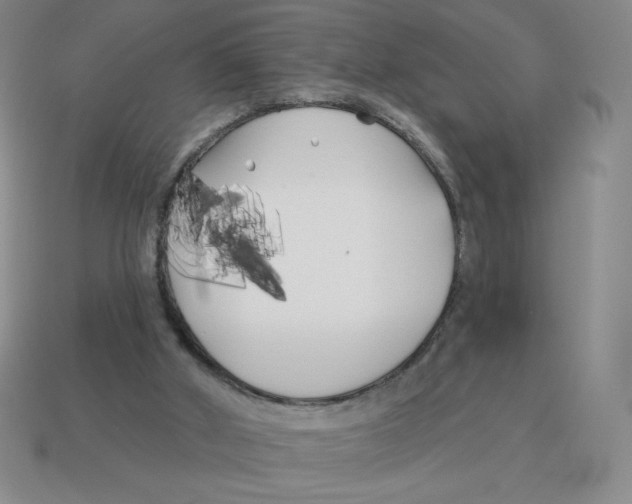 X0000113160010200910021510