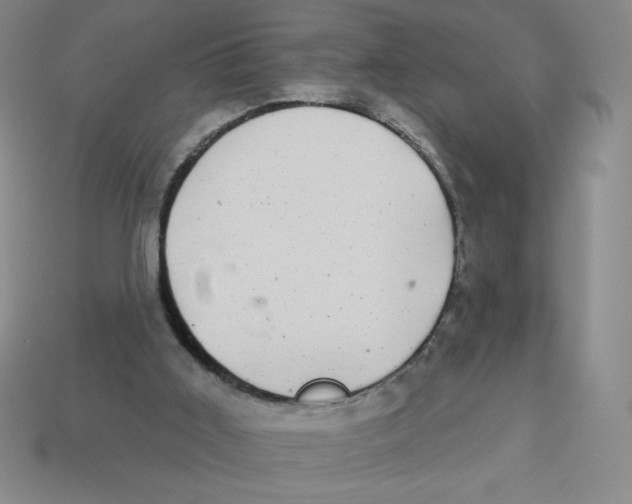 X0000113160011200910021510