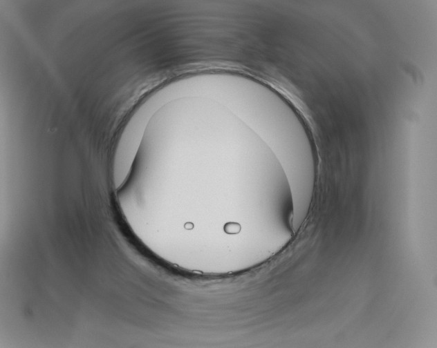 X0000113160013200910021510