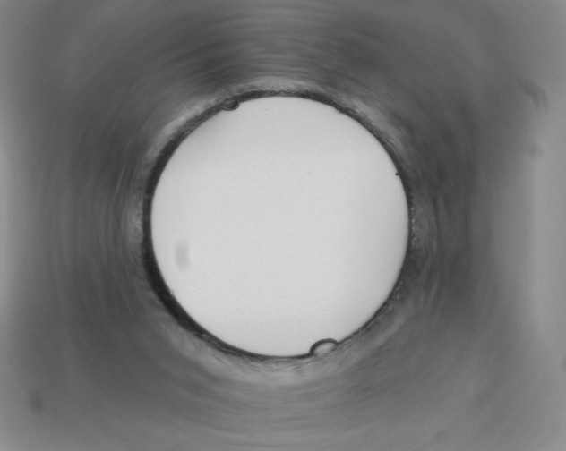 X0000113160015200910021510