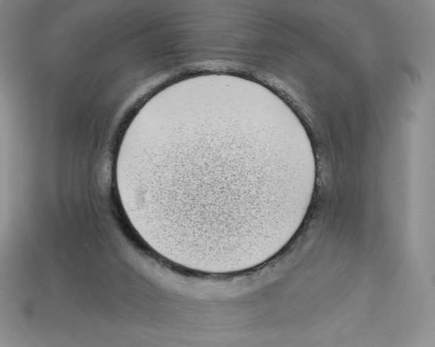 X0000113160016200910021510