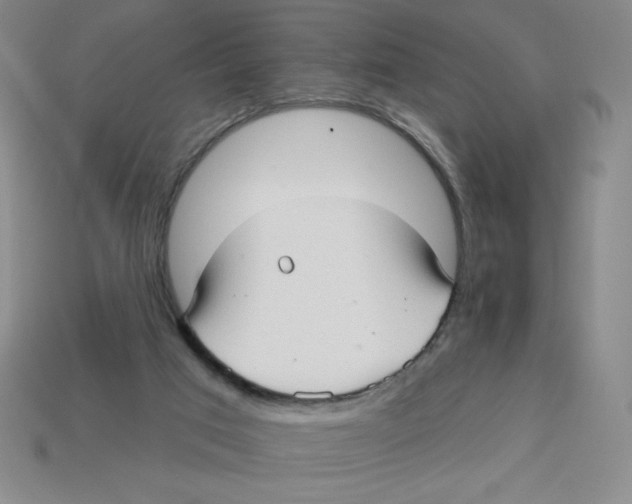 X0000113160017200910021510