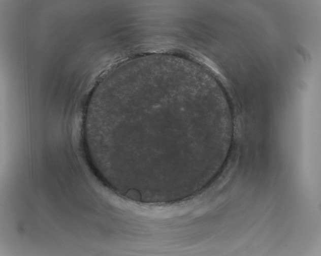 X0000113160018200910021510