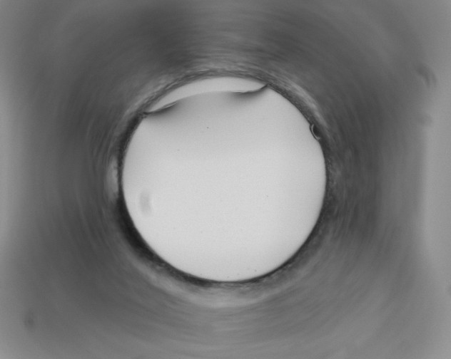 X0000113160020200910021510