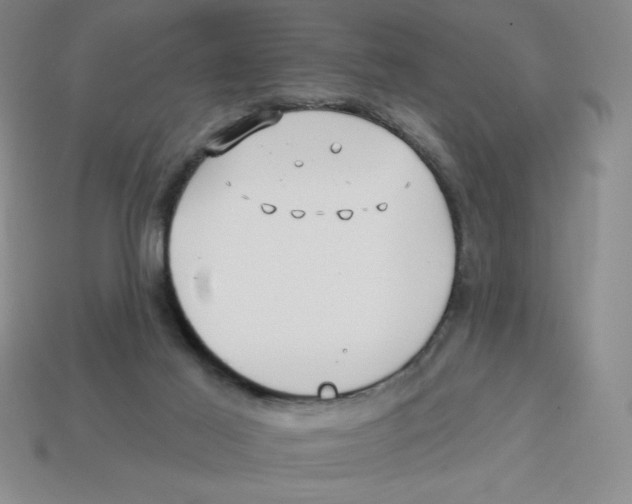 X0000113160021200910021510