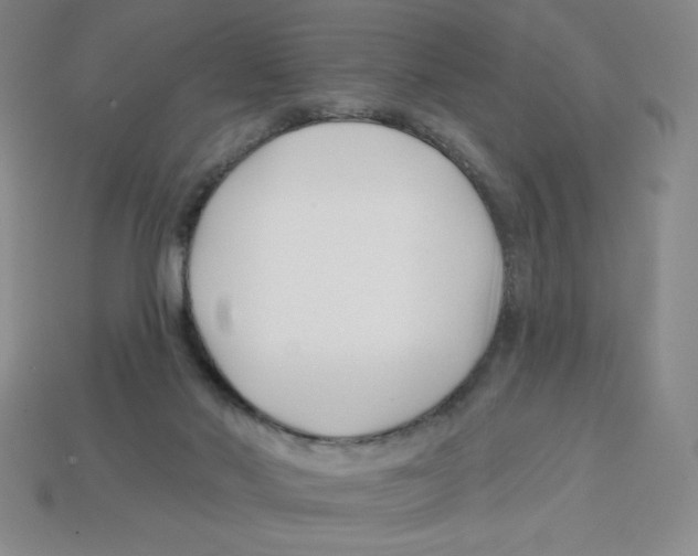 X0000113160022200910021510