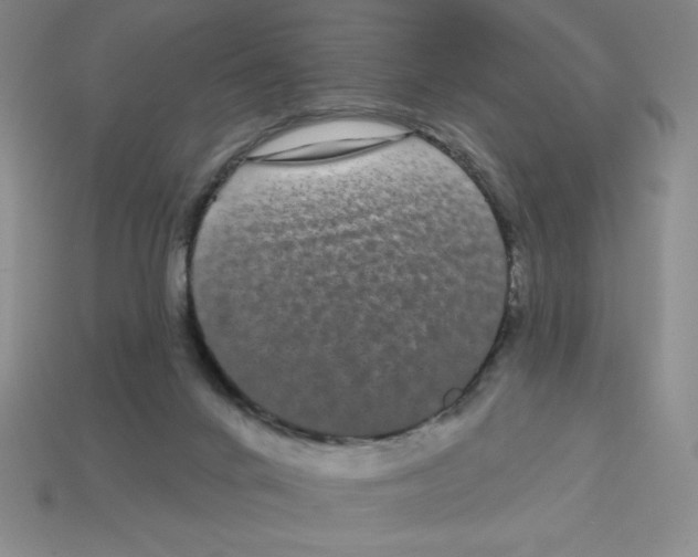 X0000113160024200910021510