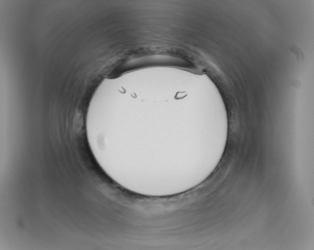 X0000113160025200910021510