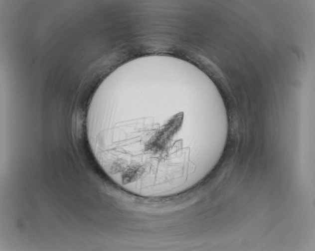 X0000113160026200910021510