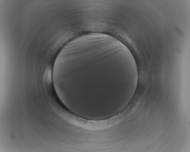 X0000113160027200910021510