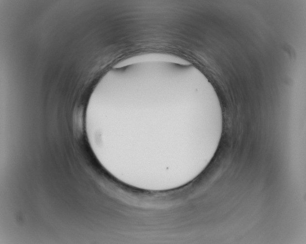 X0000113160028200910021510