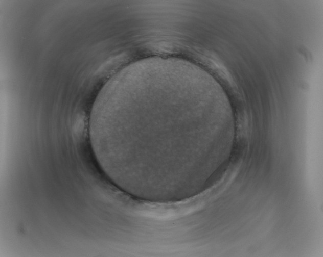 X0000113160029200910021510