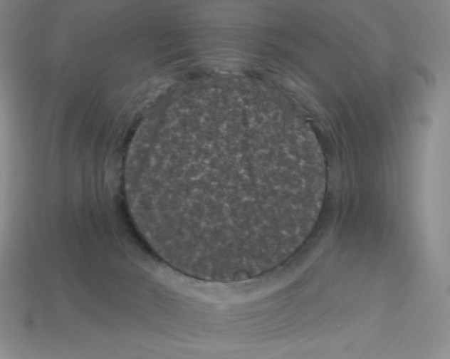 X0000113160030200910021510