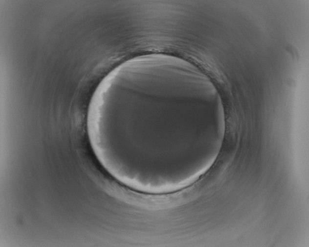 X0000113160031200910021510