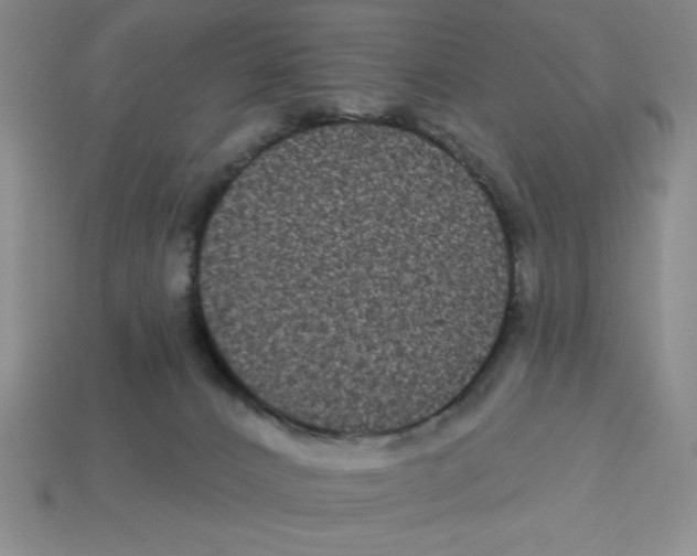 X0000113160032200910021510