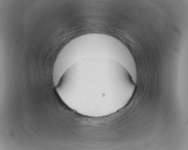 X0000113160033200910021510