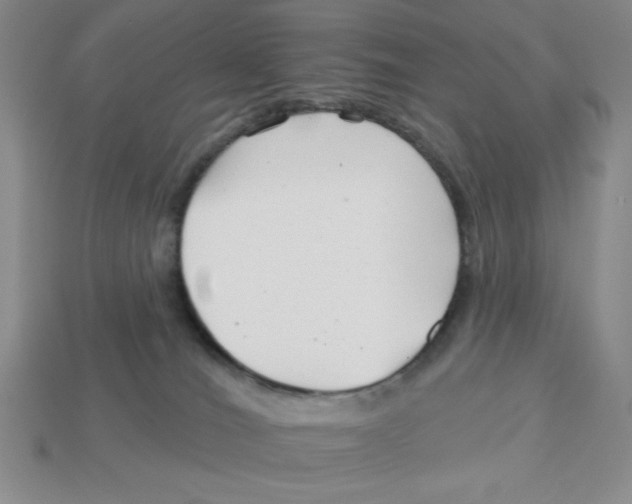 X0000113160036200910021510