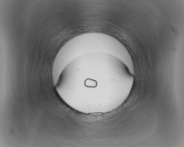 X0000113160037200910021510