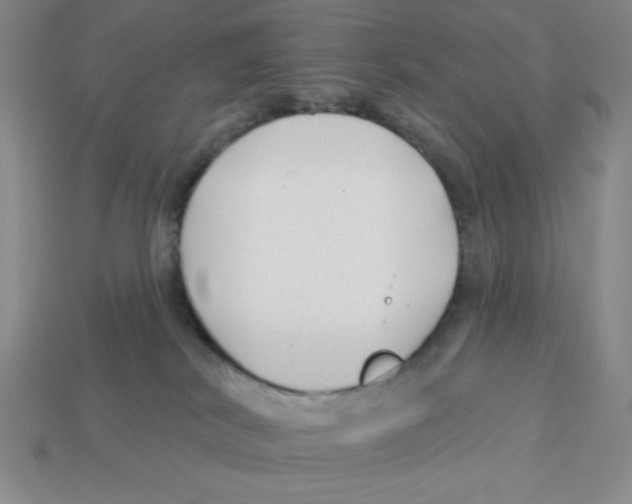 X0000113160038200910021510