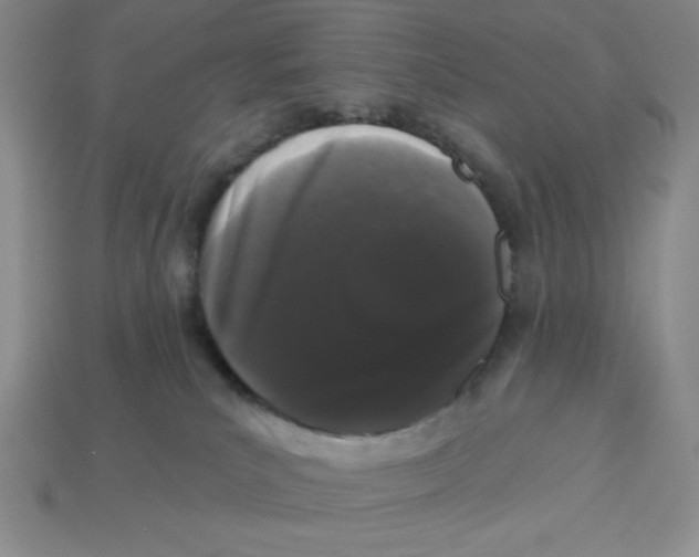 X0000113160039200910021510