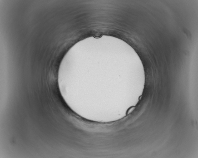 X0000113160040200910021510