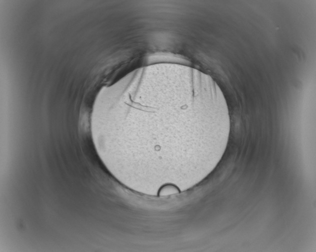 X0000113160042200910021510