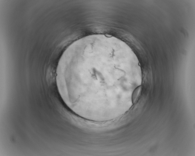 X0000113160043200910021510