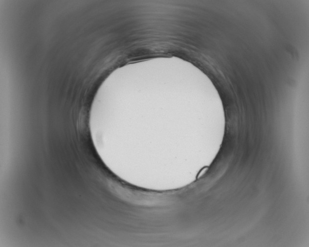 X0000113160044200910021510