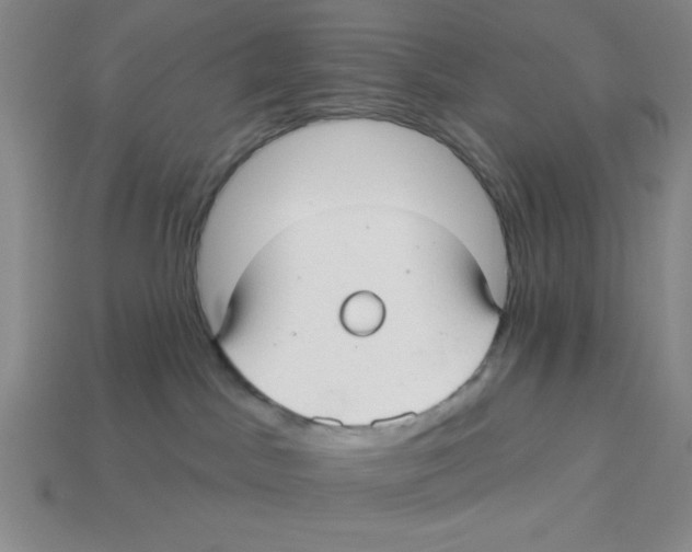 X0000113160045200910021510