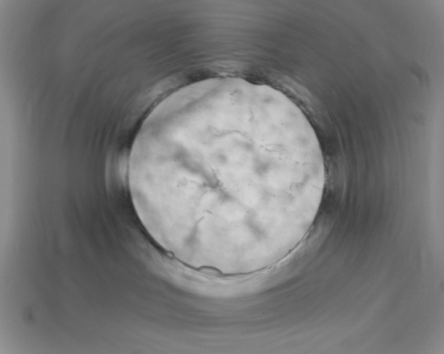 X0000113160047200910021510