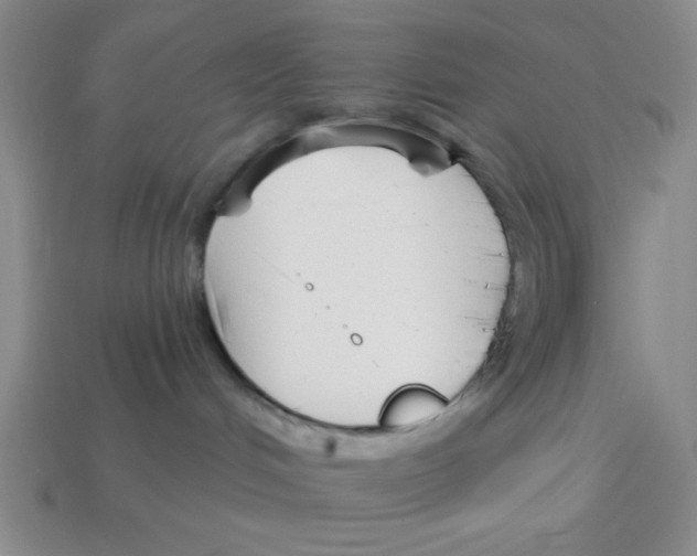 X0000113160048200910021510