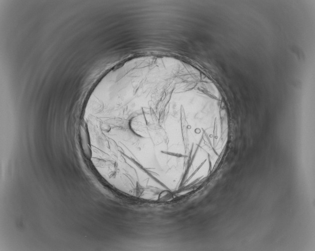 X0000113160049200910021509