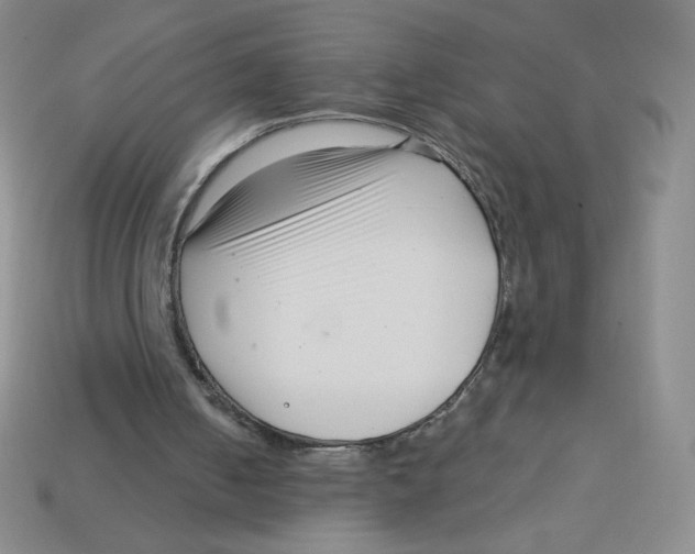 X0000113160050200910021509