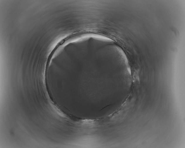 X0000113160052200910021509