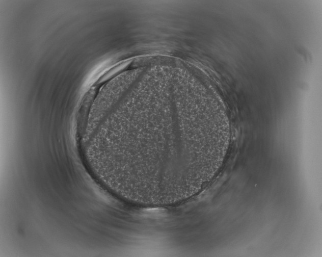 X0000113160053200910021509