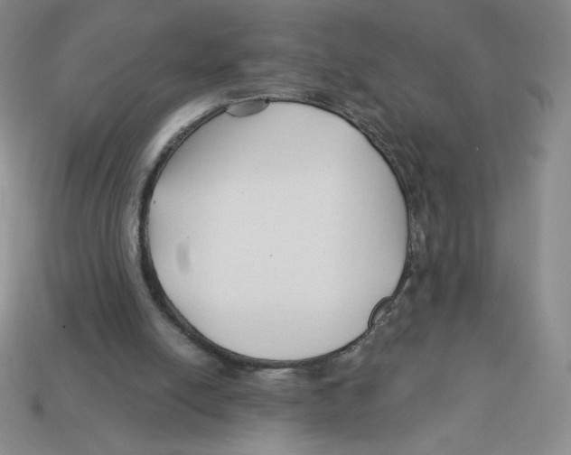 X0000113160054200910021509