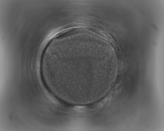 X0000113160055200910021509