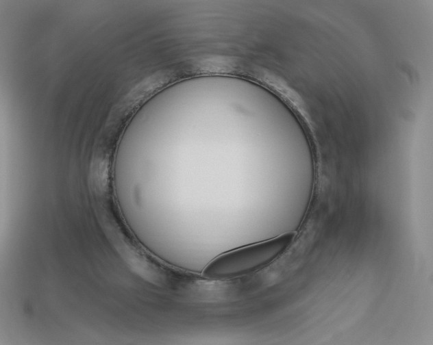 X0000113160057200910021509