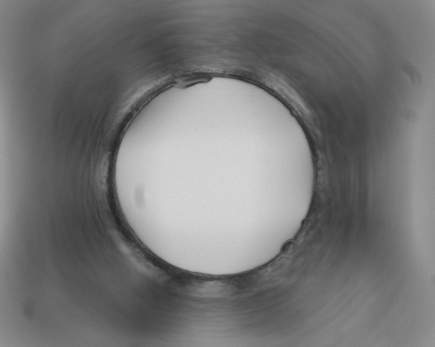 X0000113160058200910021509