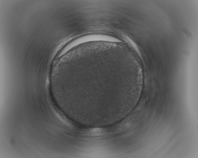 X0000113160059200910021510