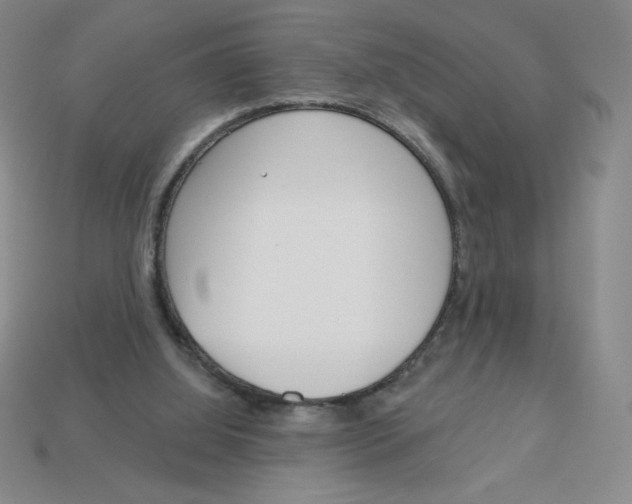 X0000113160060200910021510