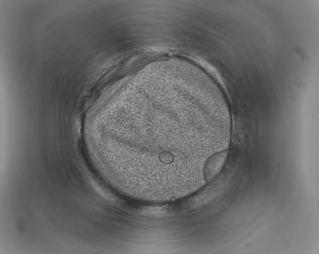 X0000113160061200910021510