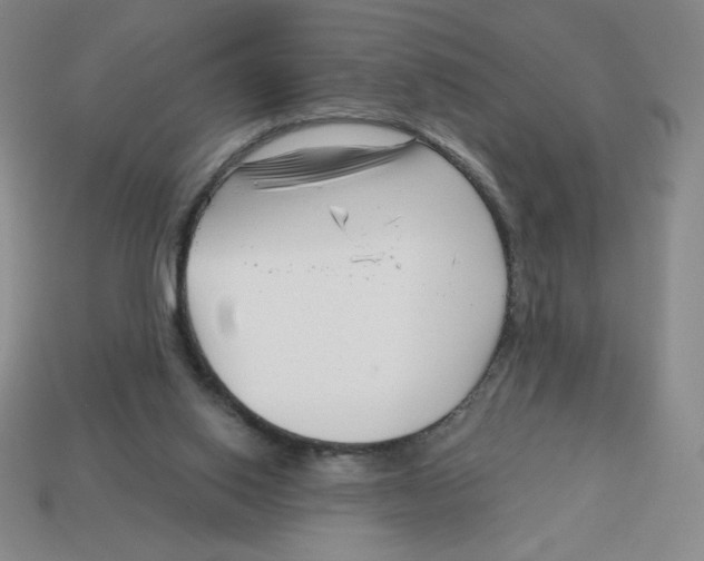 X0000113160062200910021510