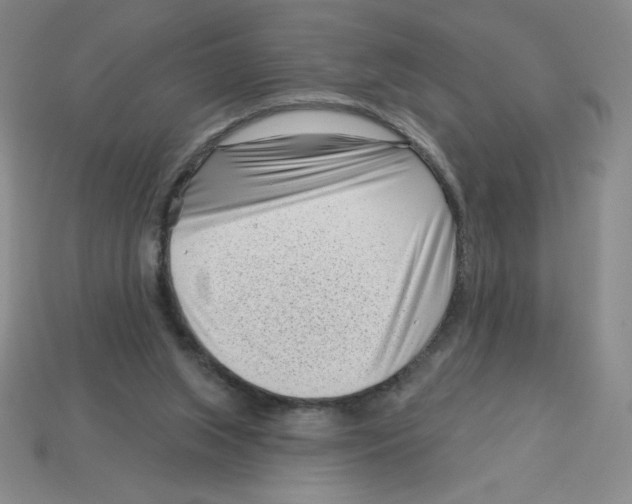 X0000113160063200910021510