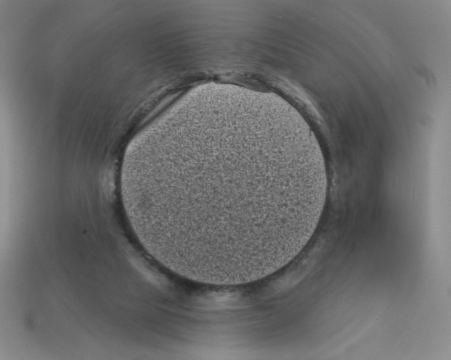 X0000113160065200910021510